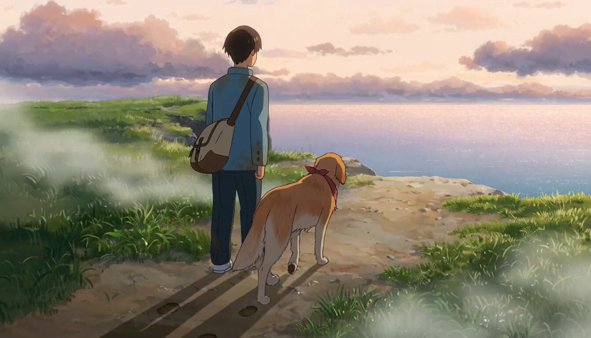 海边晨曦少年与犬 成片预览